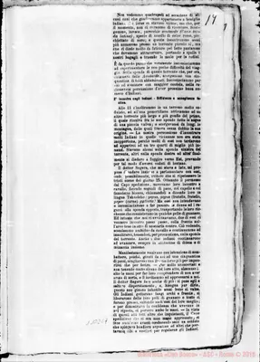 Fotogramma C 7