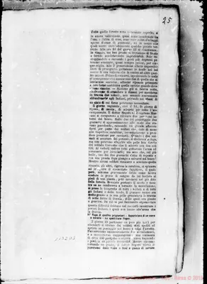 Fotogramma D 3