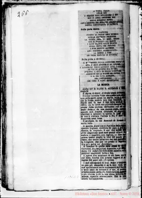 Fotogramma B 3