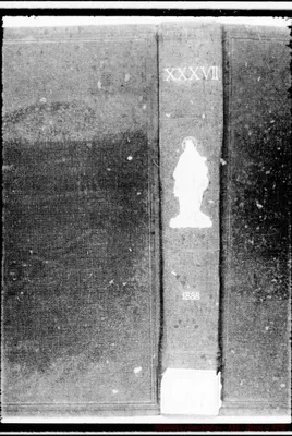 Fotogramma B 12
