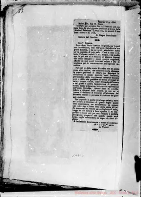 Fotogramma D 3