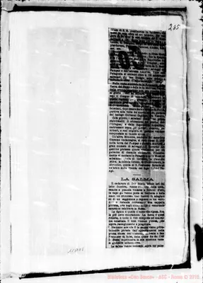 Fotogramma E 8