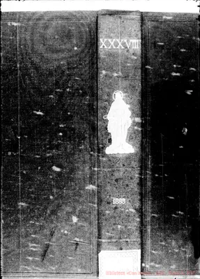 Fotogramma D 8