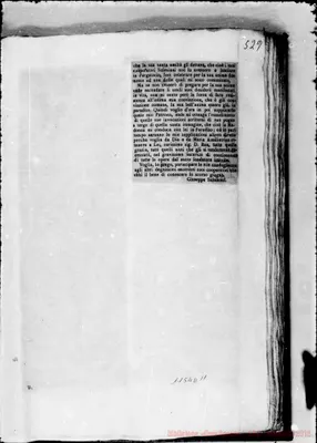 Fotogramma D 11