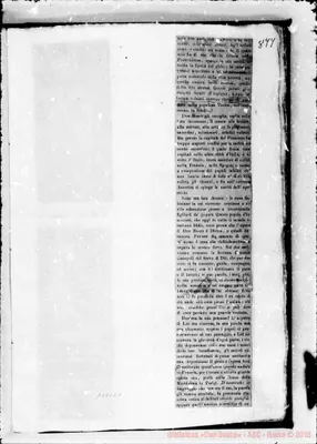 Fotogramma C 1