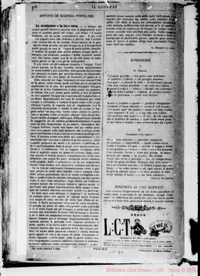 Fotogramma D 2