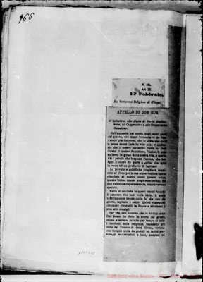 Fotogramma D 11