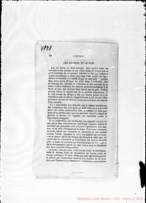Fotogramma B 8