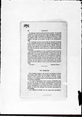 Fotogramma C 10