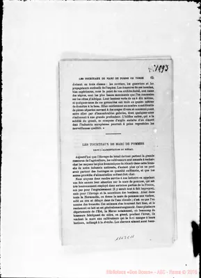 Fotogramma C 11