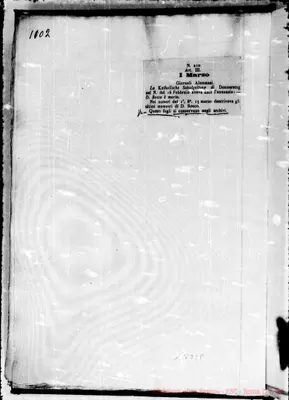 Fotogramma D 8