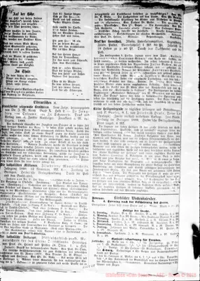 Fotogramma E 8