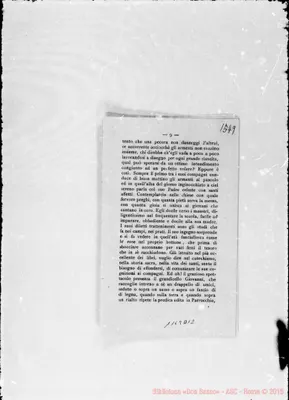 Fotogramma D 12