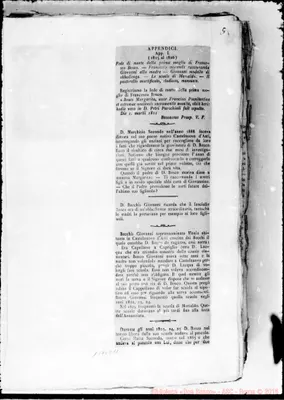 Fotogramma E 11