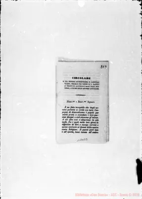 Fotogramma B 3