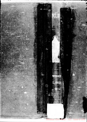 Fotogramma C 8
