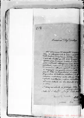 Fotogramma B 2