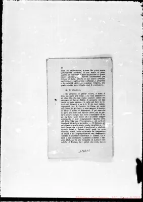 Fotogramma C 5