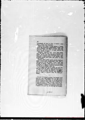 Fotogramma D 5