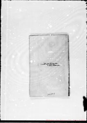Fotogramma B 5