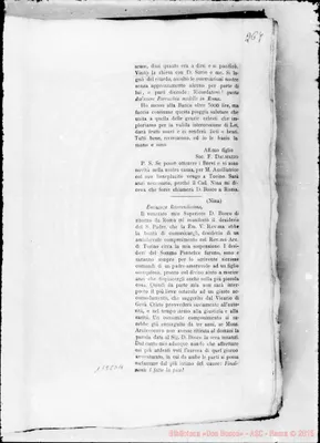 Fotogramma D 11