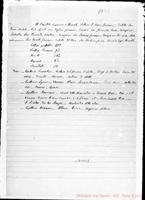 Fotogramma C 12