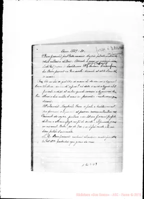 Fotogramma D 9
