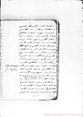 Fotogramma E 8