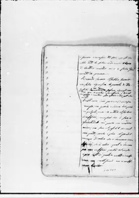 Fotogramma C 11