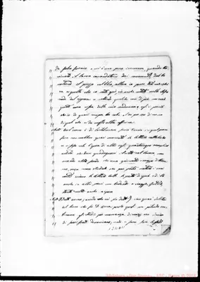 Fotogramma D 11