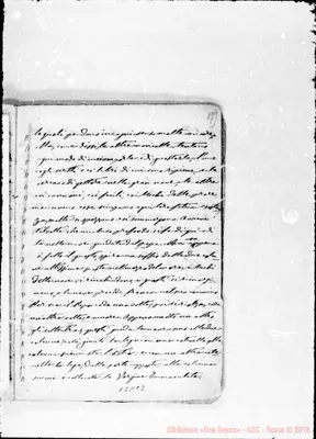 Fotogramma C 2