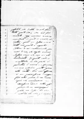 Fotogramma E 8