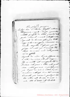 Fotogramma C 7