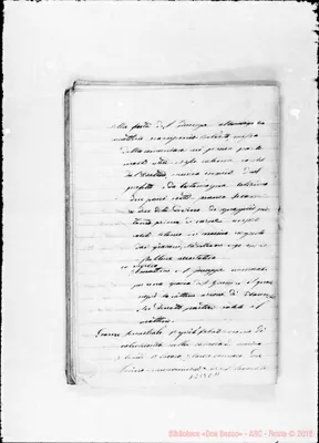 Fotogramma C 11