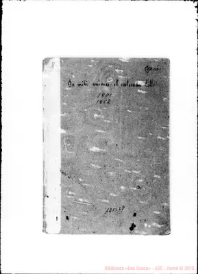 Fotogramma D 8