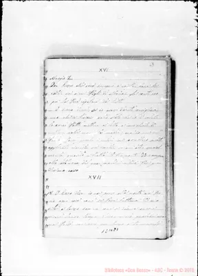 Fotogramma C 7