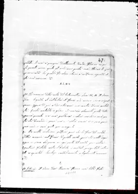 Fotogramma E 8