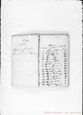 Fotogramma C 1