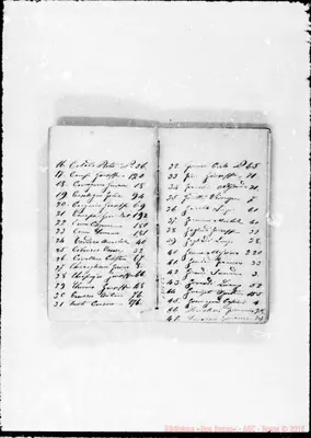 Fotogramma C 2