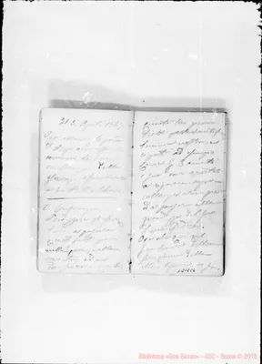 Fotogramma C 6