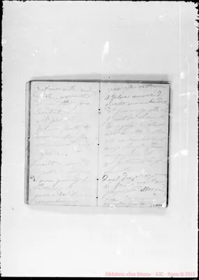 Fotogramma D 4