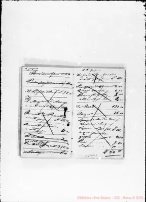 Fotogramma D 12
