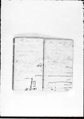 Fotogramma E 9