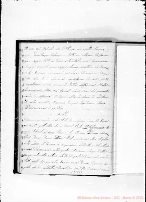 Fotogramma C 7