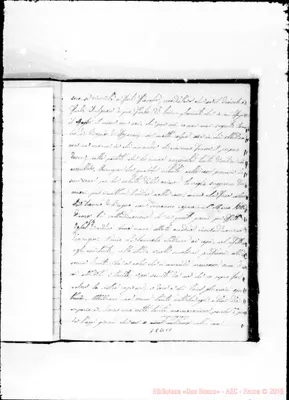 Fotogramma C 1
