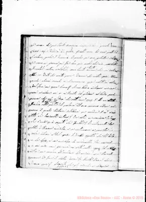 Fotogramma C 2