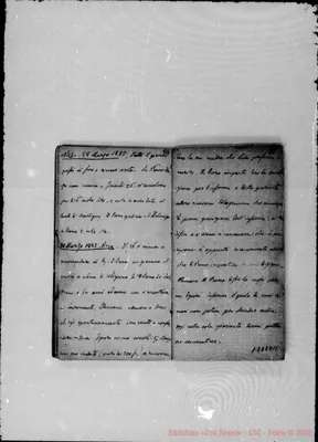 Fotogramma D 11