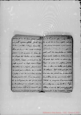 Fotogramma C 1