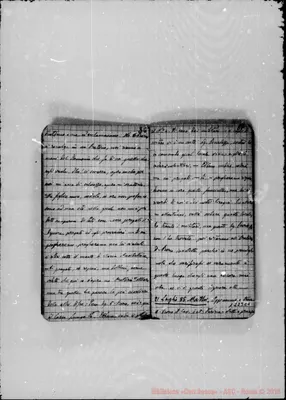 Fotogramma C 2