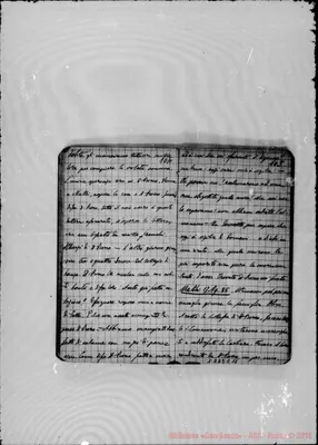 Fotogramma C 11